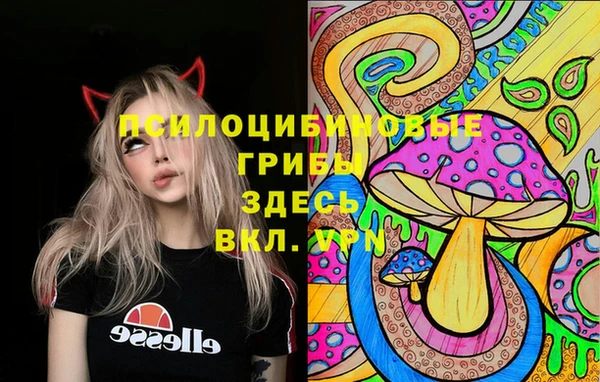 прущая мука Алексин
