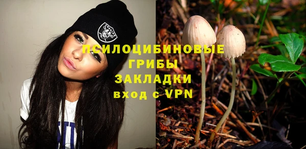 стаф Алзамай