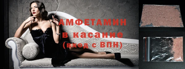 стаф Алзамай