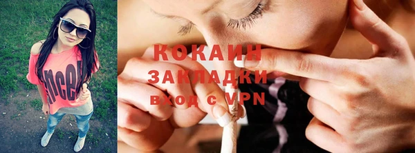 стаф Алзамай