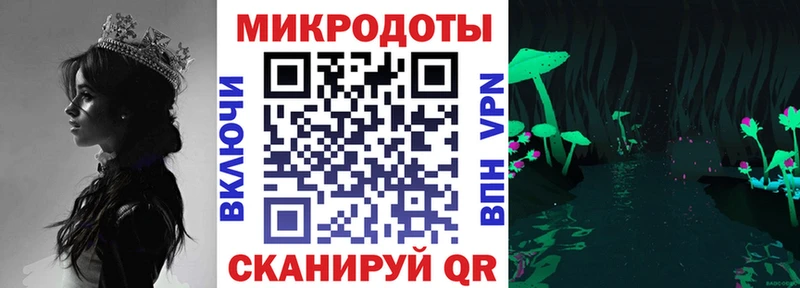 сколько стоит Хадыженск Псилоцибиновые грибы Psilocybe